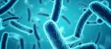 Antimicrobial Flooring
