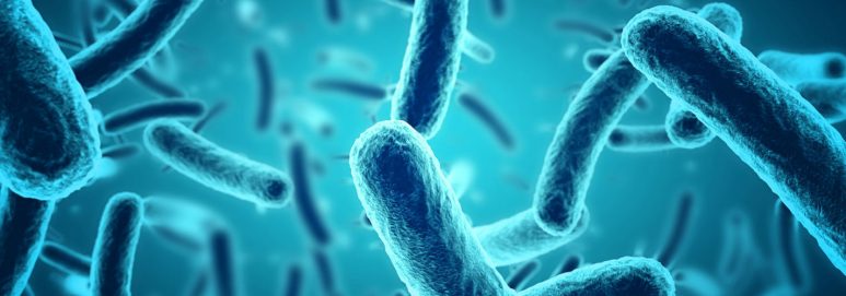 Antimicrobial Flooring