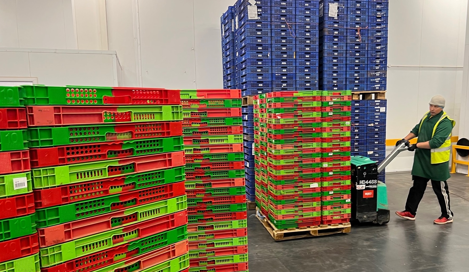 Stacked fruit boxes moved in the Wye Fruit packing area, using a handheld pallet truck, operated on Ecotile interlocking floor tiles